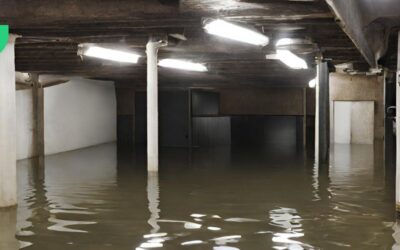 The 5 Most Common Types of Water Damage and How to Prevent Them